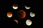 APTOPIX Los Angeles Lunar Eclipse 